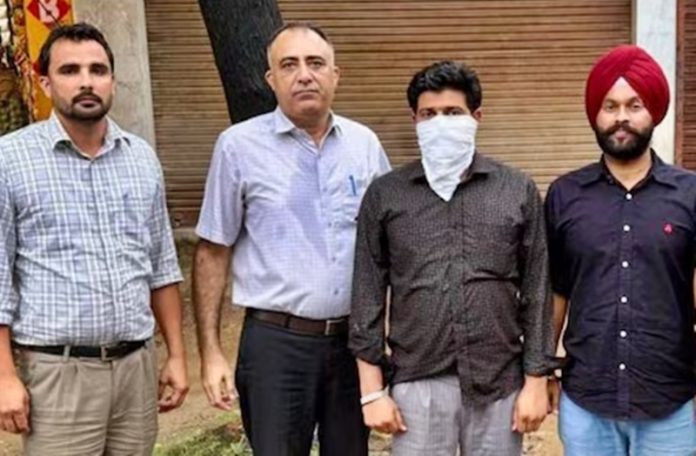 guard vigilance arrest