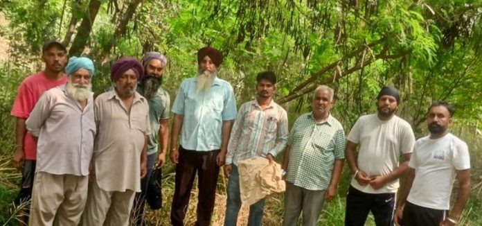 hoshiarpur