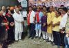 दशहरा ग्राउंड में 101 फीट ऊंची हाई मास्ट लाइट का विधायक जिंपा ने किया उद्घाटन