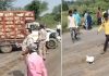 स्कूल वैन से टकराई मुर्गा लोड पिकअप, बचाने की जगह मुर्गें लेकर भागे लोग