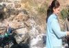 गौशाला में आग की चपेट में आने से 60 पशु जिंदा जले