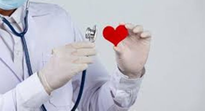 HEART CHEAKING CAMP