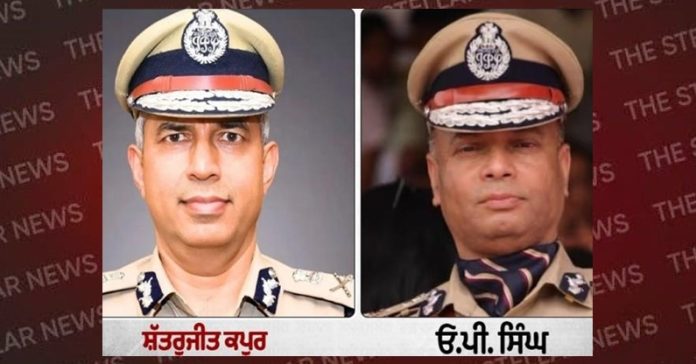 dgp