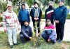 अपने आसपास फलदार पौधे लगाना समय की मांगः हैप्पी सूद