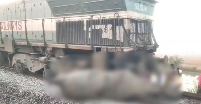 train acident assam