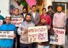 बसंत पंचमी सुरक्षित तरीके से मनाने की अपील, चीनी व नायलॉन डोर के उपयोग से पूर्ण परहेज का संदेश