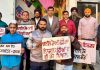 बसंत पंचमी सुरक्षित तरीके से मनाने की अपील, चीनी व नायलॉन डोर के उपयोग से पूर्ण परहेज का संदेश