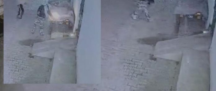 vehicles set on fire