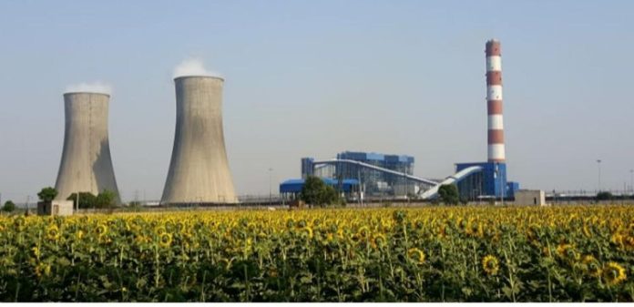 rajpura plant