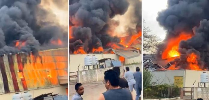 mohali grocery store fire