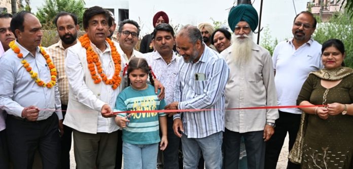 jimpa at anmol nagar
