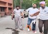 AAP नेता पर चली ताबड़तोड़ गोलियां, हालत गंभीर