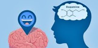 YOUTH WASTING DOPAMINE DRIVE