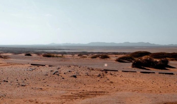 sahara- desert-death