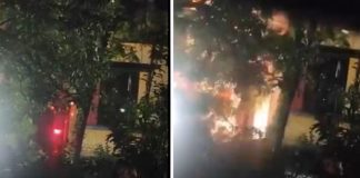 शेख हसीना की प्रेस कॉन्फ्रेंस में शामिल होने के बाद शाकिब अल हसन के घर पर पेट्रोल बम से हमला