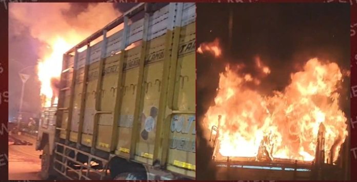faridabad-cattle-truck-collapsed-fire
