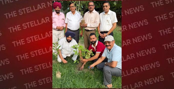 hsp-roatry-club-tree