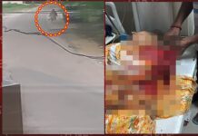 होशियारपुरः तेज रफ्तार टिप्पर की चपेट में आई मनप्रीत सिंह रैहसी की माता, DMC रैफर