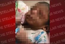 शाहाबाद में नवजात बच्ची को जंगल में छोड़ा, शरीर पर कीड़े-चींटियों के काटने के घाव