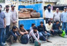 वन विभाग ने खैर चोर गिरोह के सात सदस्यों को पकड़ने में हासिल की सफलता, चोरी की खैर बरामद