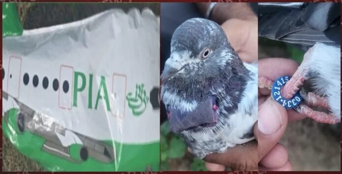 jammu-pakistani-balloon-found-in-gho-manhasa-suspicious-pigeon-in-samba