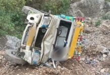 खाई में वाहन गिरने से मां-बेटे सहित 5 लोगों की मौ-त, एक की हालत गंभीर