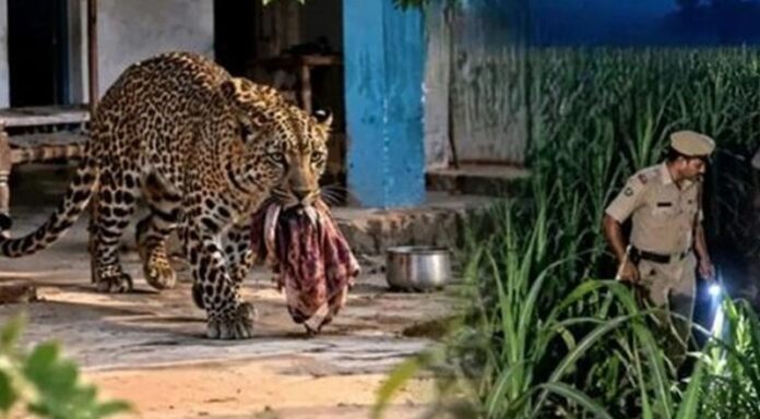 uttar-pardesh-