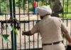 जीरकपुर के नेचर पार्क में मिली सिर कटी ला-श, ह-त्या की आशंका, लोगों में दहशत