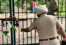 जीरकपुर के नेचर पार्क में मिली सिर कटी ला-श, ह-त्या की आशंका, लोगों में दहशत